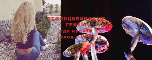 apvp Навашино