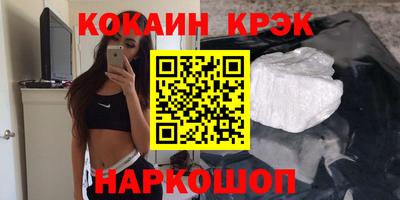 гашик Кингисепп