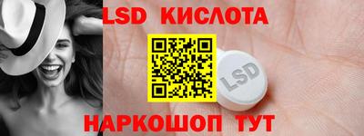 гашик Кингисепп