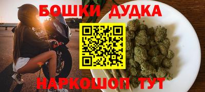 гашик Кингисепп