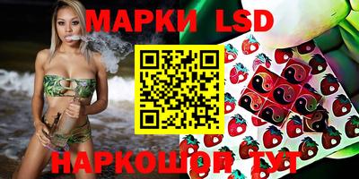 гашик Кингисепп