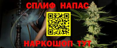 гашик Кингисепп