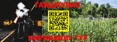гашик Кингисепп
