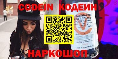 гашик Кингисепп
