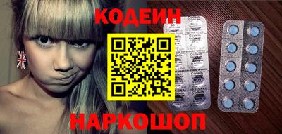 гашик Кингисепп