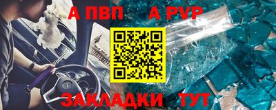 гашик Кингисепп