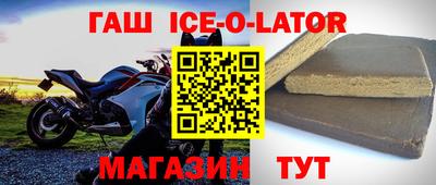 гашик Кингисепп