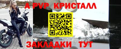 гашик Кингисепп