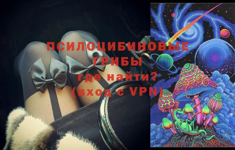 Галлюциногенные грибы Psilocybe  Балтийск 