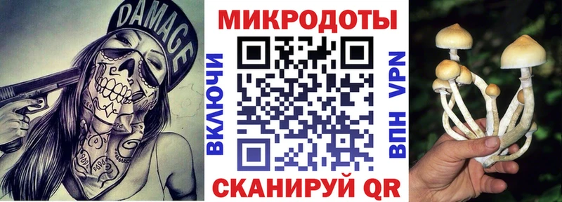 Псилоцибиновые грибы мухоморы Балтийск