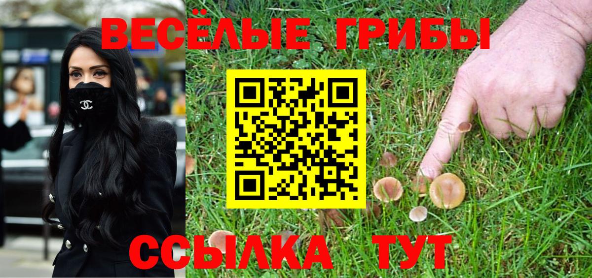 Псилоцибиновые грибы MAGIC MUSHROOMS Балтийск