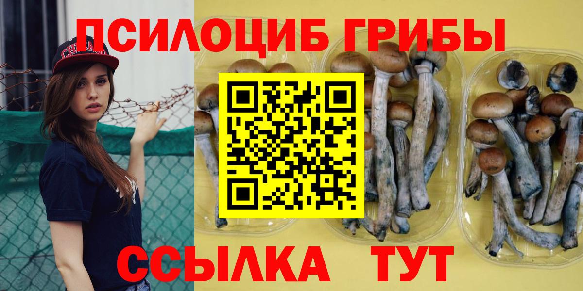 Балтийск  Галлюциногенные грибы MAGIC MUSHROOMS  наркотики  Вход с VPN 